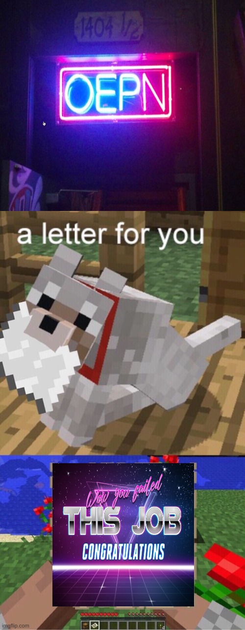 WTAF | image tagged in minecraft mail | made w/ Imgflip meme maker