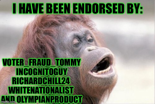 I Must Be Doing Something Right | I HAVE BEEN ENDORSED BY:; VOTER_FRAUD_TOMMY
INCOGNITOGUY
RICHARDCHILL24 
WHITENATIONALIST 
AND OLYMPIANPRODUCT | image tagged in memes,monkey ooh,vote,greeniemeanie,endorse | made w/ Imgflip meme maker