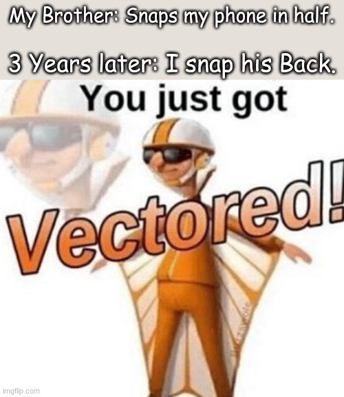 Vectored | My Brother: Snaps my phone in half. 3 Years later: I snap his Back. | image tagged in you just got vectored | made w/ Imgflip meme maker