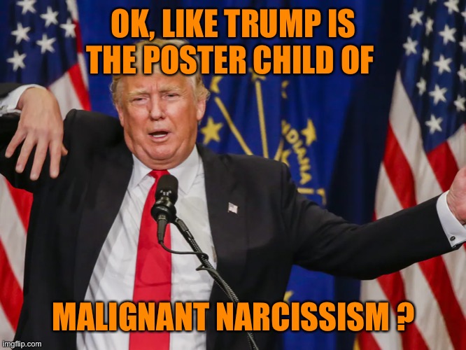 OK, LIKE TRUMP IS THE POSTER CHILD OF MALIGNANT NARCISSISM ? | made w/ Imgflip meme maker