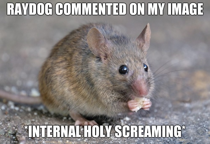 Mouse eating food | RAYDOG COMMENTED ON MY IMAGE; *INTERNAL HOLY SCREAMING* | image tagged in mouse eating food | made w/ Imgflip meme maker