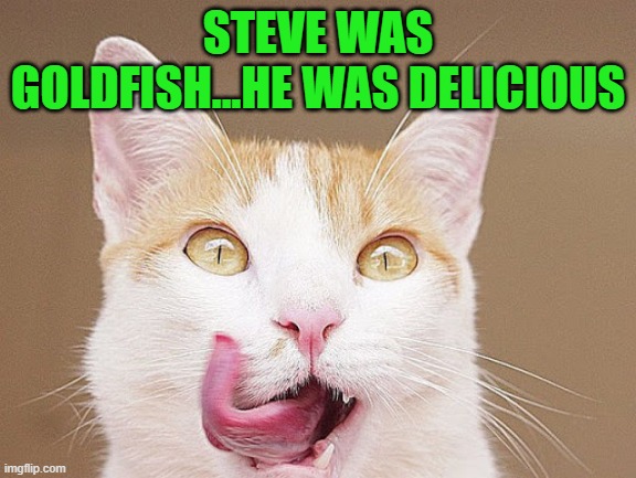 STEVE WAS GOLDFISH...HE WAS DELICIOUS | made w/ Imgflip meme maker