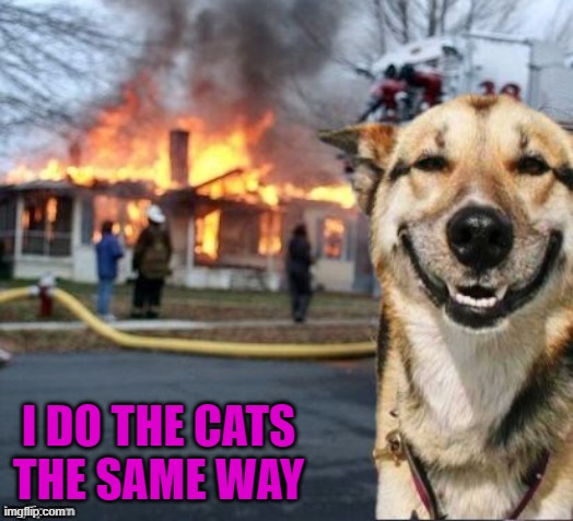 I DO THE CATS THE SAME WAY | made w/ Imgflip meme maker