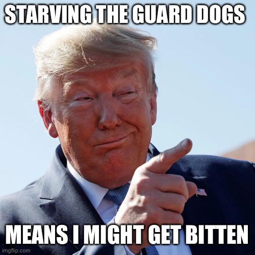STARVING THE GUARD DOGS MEANS I MIGHT GET BITTEN | made w/ Imgflip meme maker