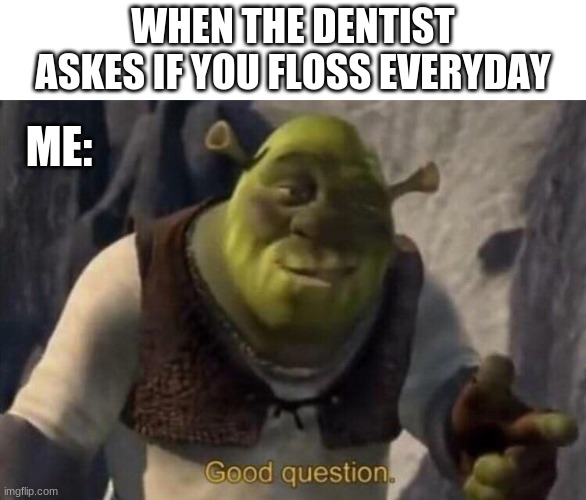 Shrek Good Question Memes Gifs Imgflip