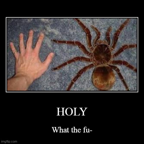 image tagged in funny,demotivationals | made w/ Imgflip demotivational maker