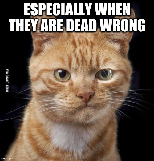 Doubting Cat | ESPECIALLY WHEN THEY ARE DEAD WRONG | image tagged in doubting cat | made w/ Imgflip meme maker