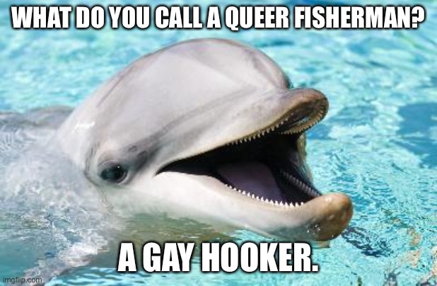 Hook, line, and bad joke | WHAT DO YOU CALL A QUEER FISHERMAN? A GAY HOOKER. | image tagged in dumb joke dolphin,memes,gay jokes,bad joke,fish,hooker | made w/ Imgflip meme maker
