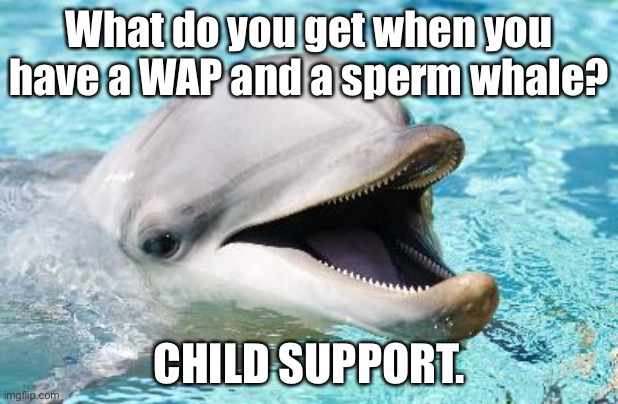 WAP is a nursery rhyme | What do you get when you have a WAP and a sperm whale? CHILD SUPPORT. | image tagged in dumb joke dolphin,memes,wap,sperm,child support,bad joke | made w/ Imgflip meme maker