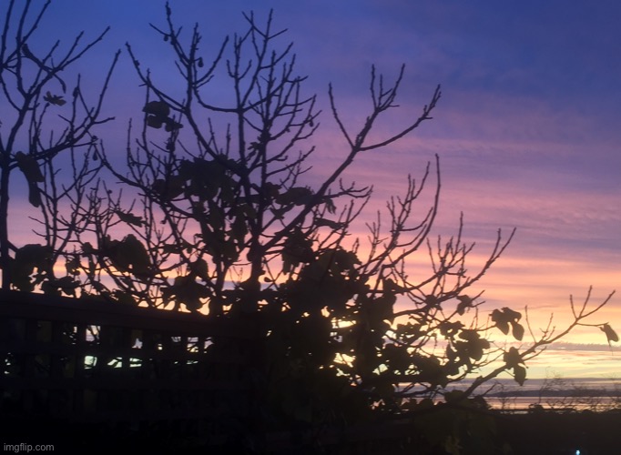 Pretty Sunset | image tagged in sunset,tree,silhouette,photo | made w/ Imgflip meme maker