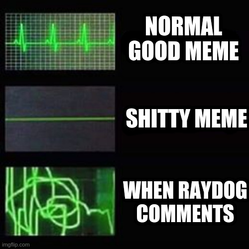 heartbeat rate | NORMAL GOOD MEME SHITTY MEME WHEN RAYDOG COMMENTS | image tagged in heartbeat rate | made w/ Imgflip meme maker