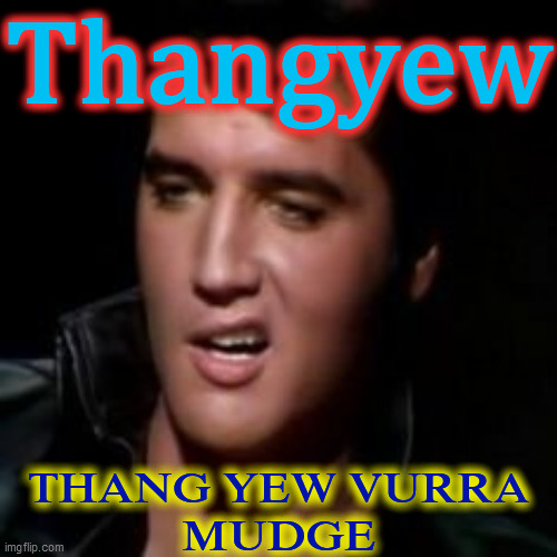 Elvis, thank you | Thangyew THANG YEW VURRA
MUDGE | image tagged in elvis thank you | made w/ Imgflip meme maker