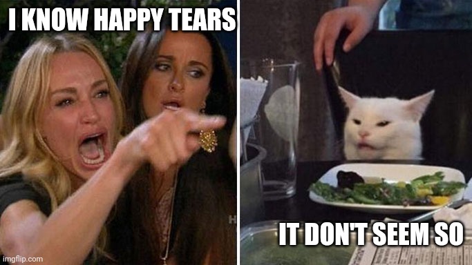 Happy tears | I KNOW HAPPY TEARS; IT DON'T SEEM SO | image tagged in angry lady cat | made w/ Imgflip meme maker