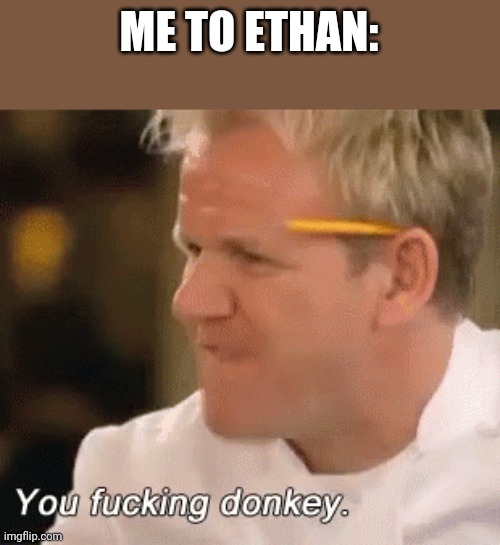 You fucking donkey | ME TO ETHAN: | image tagged in you fucking donkey | made w/ Imgflip meme maker