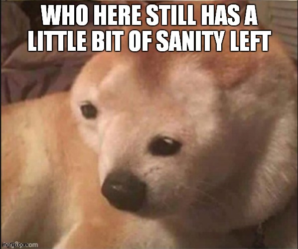 Confused noise | WHO HERE STILL HAS A LITTLE BIT OF SANITY LEFT | image tagged in re | made w/ Imgflip meme maker