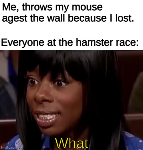 What? | Me, throws my mouse agest the wall because I lost. Everyone at the hamster race:; What | image tagged in memes,funny,pandaboyplaysyt,fallout hold up | made w/ Imgflip meme maker