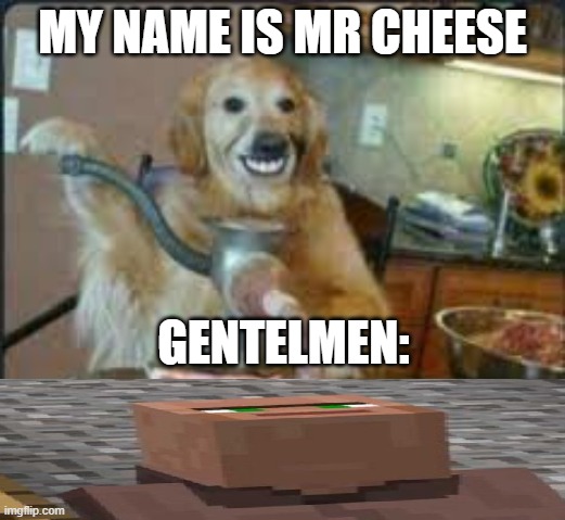 MEAT DOG | MY NAME IS MR CHEESE; GENTELMEN: | image tagged in meat dog | made w/ Imgflip meme maker