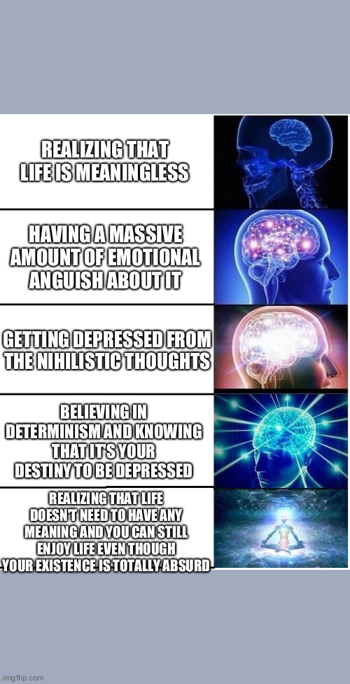 ggwp brain : r/nihilism