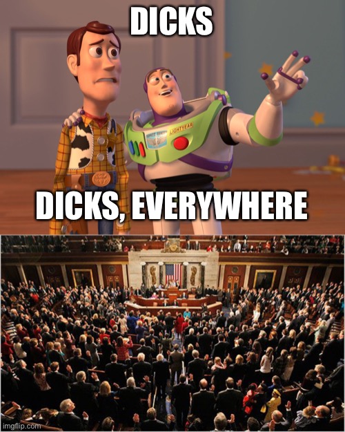 DICKS DICKS, EVERYWHERE | image tagged in memes,x x everywhere,congress | made w/ Imgflip meme maker