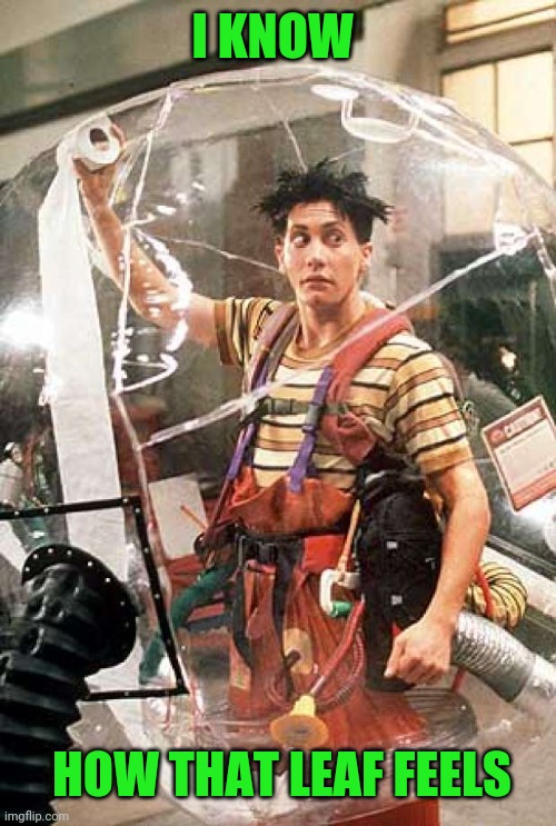 Bubble Boy | I KNOW HOW THAT LEAF FEELS | image tagged in bubble boy | made w/ Imgflip meme maker