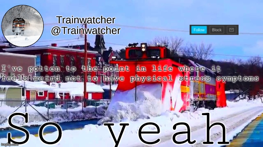 Trainwatcher Winter Temp | I've gotten to the point in life where it feels weird not to have physical stress symptoms; So yeah | image tagged in trainwatcher winter temp | made w/ Imgflip meme maker