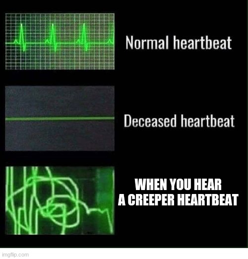 normal heartbeat deceased heartbeat | WHEN YOU HEAR A CREEPER HEARTBEAT | image tagged in normal heartbeat deceased heartbeat | made w/ Imgflip meme maker