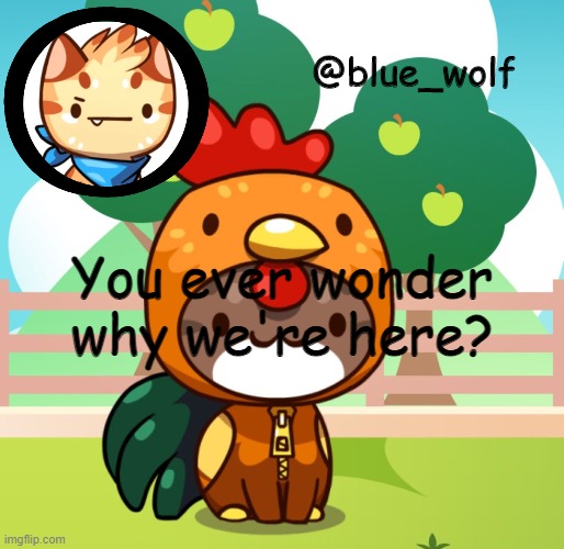 You ever wonder why we're here? | image tagged in blue wolfs announcement thing | made w/ Imgflip meme maker
