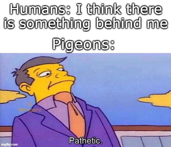 Indeed Pathetic | Humans: I think there is something behind me; Pigeons: | image tagged in pathetic | made w/ Imgflip meme maker