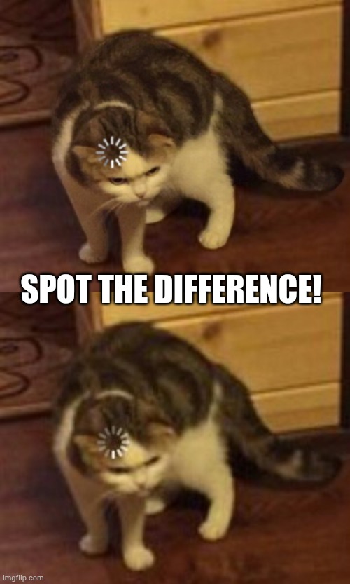 Spot | SPOT THE DIFFERENCE! | image tagged in loading cat | made w/ Imgflip meme maker