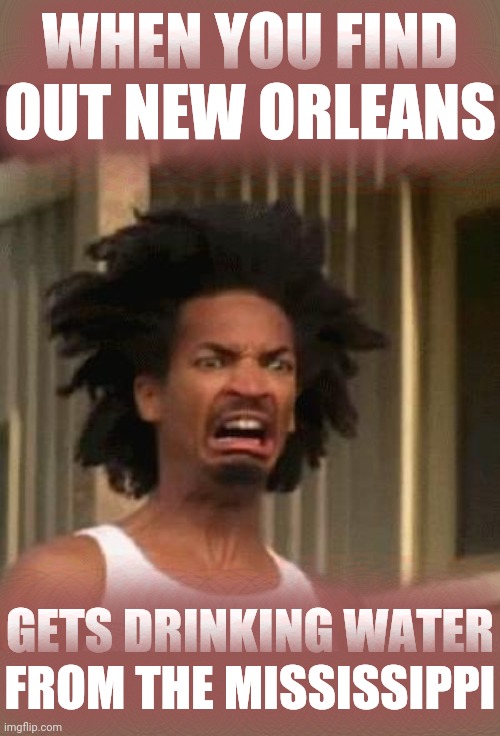 crabman | WHEN YOU FIND OUT NEW ORLEANS GETS DRINKING WATER FROM THE MISSISSIPPI | image tagged in crabman | made w/ Imgflip meme maker