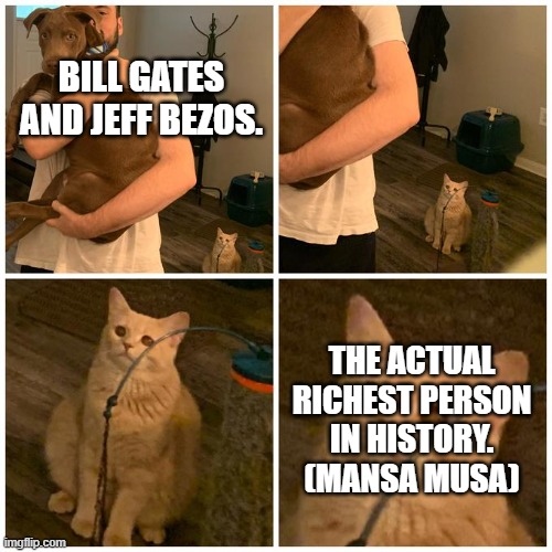 sad cat dog hold | BILL GATES AND JEFF BEZOS. THE ACTUAL RICHEST PERSON IN HISTORY. (MANSA MUSA) | image tagged in sad cat dog hold | made w/ Imgflip meme maker