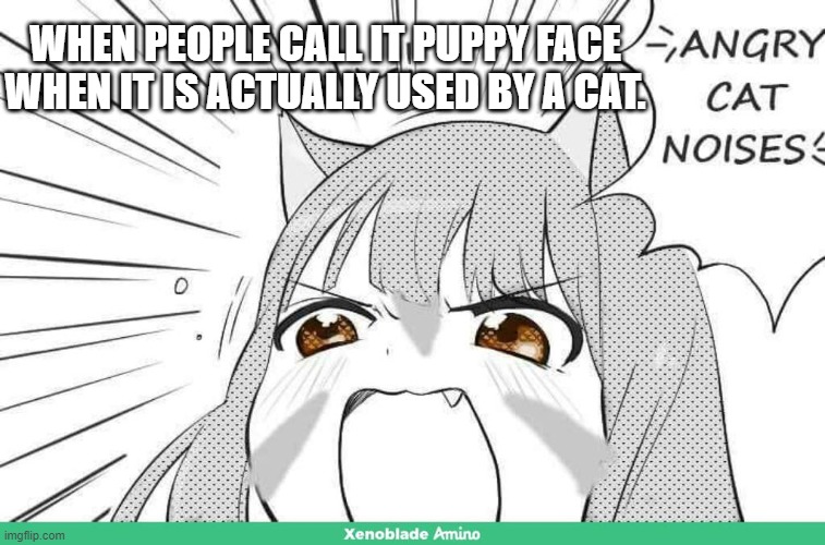 angry cat noises | WHEN PEOPLE CALL IT PUPPY FACE WHEN IT IS ACTUALLY USED BY A CAT. | image tagged in angry cat noises,cats | made w/ Imgflip meme maker