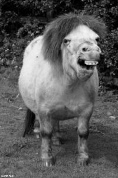 ugly horse | image tagged in ugly horse | made w/ Imgflip meme maker