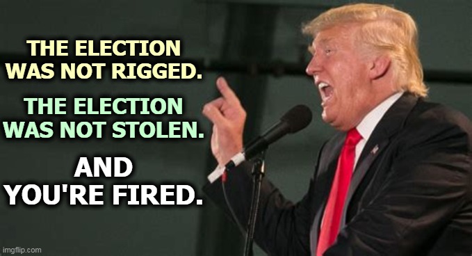 What a weak, sad little snowflake. | THE ELECTION WAS NOT RIGGED. THE ELECTION WAS NOT STOLEN. AND YOU'RE FIRED. | image tagged in trump,weak,snowflake,donald trump you're fired | made w/ Imgflip meme maker