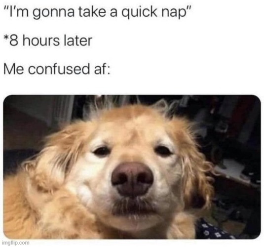 lol | image tagged in lol,memes,funny,oof | made w/ Imgflip meme maker