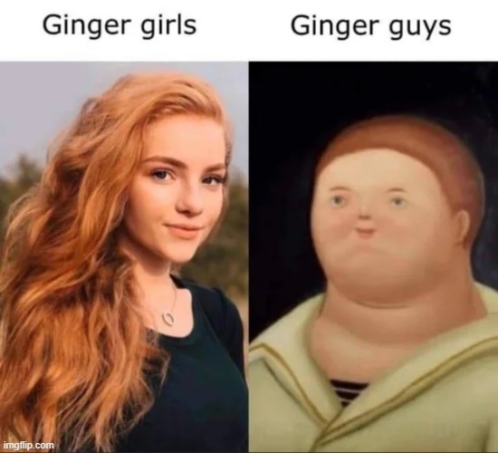 are u a boy or girl | image tagged in lol,memes,funny,oof | made w/ Imgflip meme maker