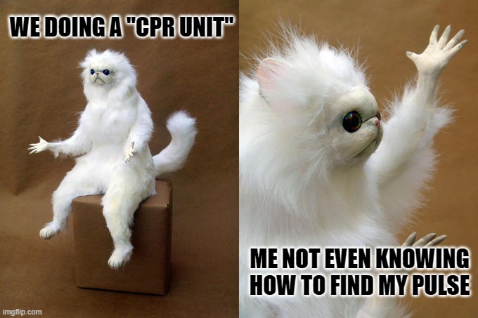 How pulse | WE DOING A "CPR UNIT"; ME NOT EVEN KNOWING HOW TO FIND MY PULSE | image tagged in memes,persian cat room guardian,health | made w/ Imgflip meme maker
