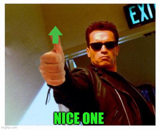 terminator thumbs up | NICE ONE | image tagged in terminator thumbs up | made w/ Imgflip meme maker