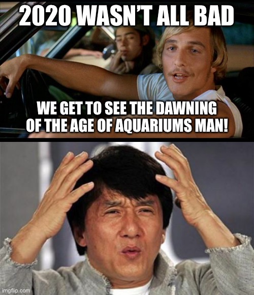 2020 WASN’T ALL BAD; WE GET TO SEE THE DAWNING OF THE AGE OF AQUARIUMS MAN! | image tagged in it'd be a lot cooler,jackie chan wtf | made w/ Imgflip meme maker