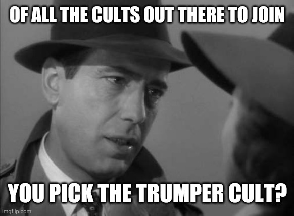 Casablanca Humphry Bogart | OF ALL THE CULTS OUT THERE TO JOIN; YOU PICK THE TRUMPER CULT? | image tagged in casablanca humphry bogart | made w/ Imgflip meme maker