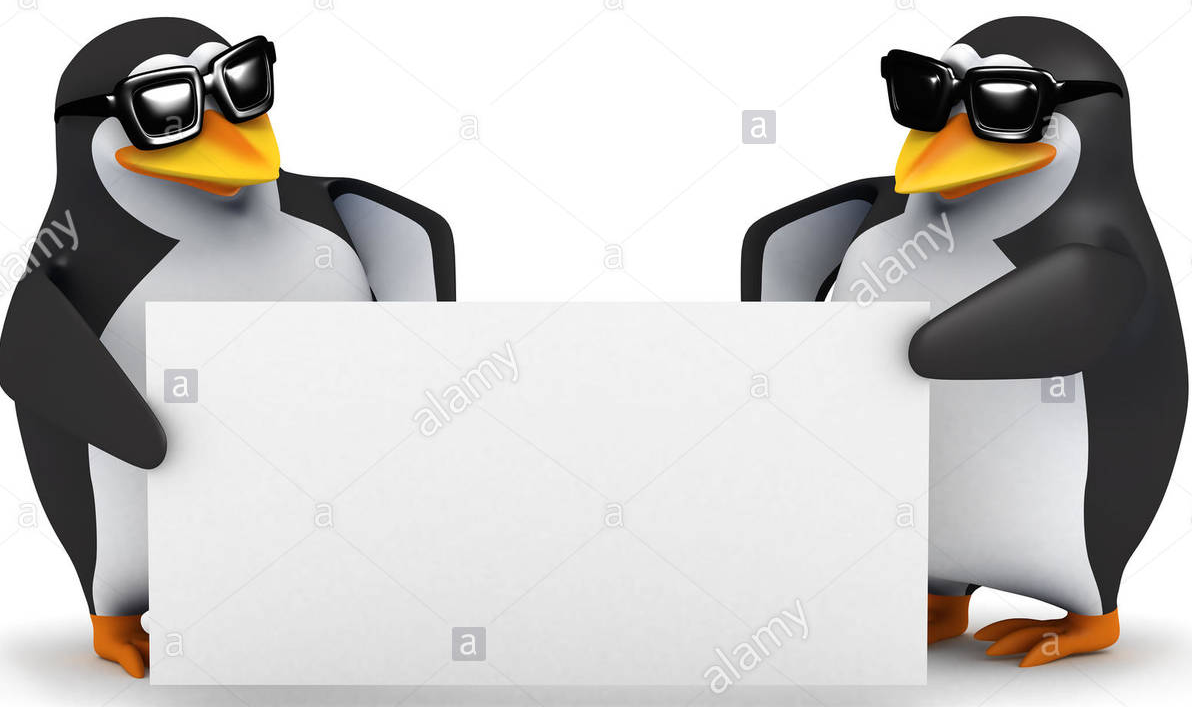 High Quality penguin facts Blank Meme Template