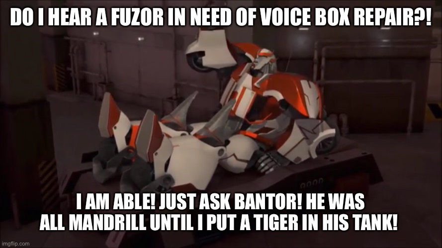 Delirious Doc | DO I HEAR A FUZOR IN NEED OF VOICE BOX REPAIR?! I AM ABLE! JUST ASK BANTOR! HE WAS ALL MANDRILL UNTIL I PUT A TIGER IN HIS TANK! | image tagged in ratchet,transformers,transformers prime,tfp,autobot | made w/ Imgflip meme maker