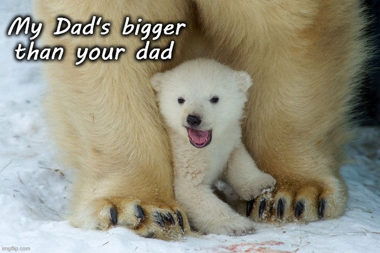Tough Li'l Cub |  My Dad's bigger than your dad | image tagged in animals,funny animals,polar bears,bears | made w/ Imgflip meme maker