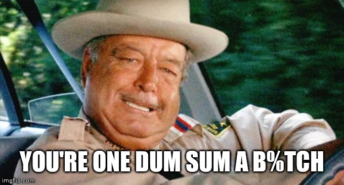 Smokey and the Bandit 1 | YOU'RE ONE DUM SUM A B%TCH | image tagged in smokey and the bandit 1 | made w/ Imgflip meme maker