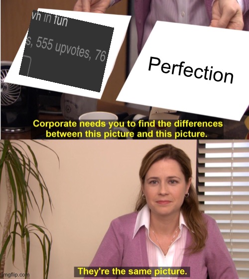 They're The Same Picture | Perfection | image tagged in memes,they're the same picture | made w/ Imgflip meme maker