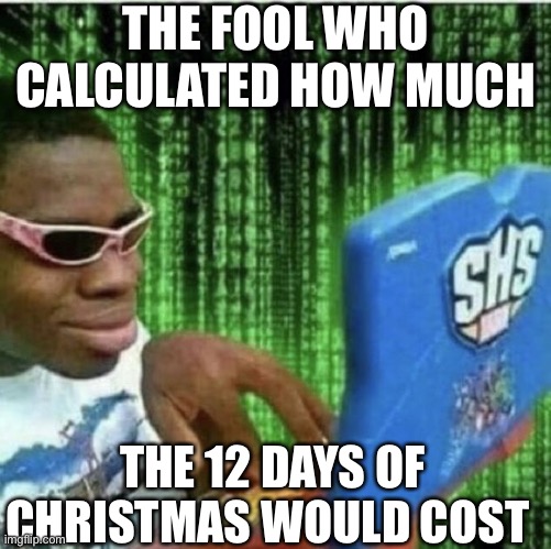 This fool | THE FOOL WHO CALCULATED HOW MUCH; THE 12 DAYS OF CHRISTMAS WOULD COST | image tagged in ryan beckford,christmas | made w/ Imgflip meme maker
