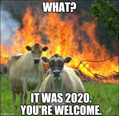 Evil Cows Meme | WHAT? IT WAS 2020. YOU'RE WELCOME. | image tagged in memes,evil cows | made w/ Imgflip meme maker