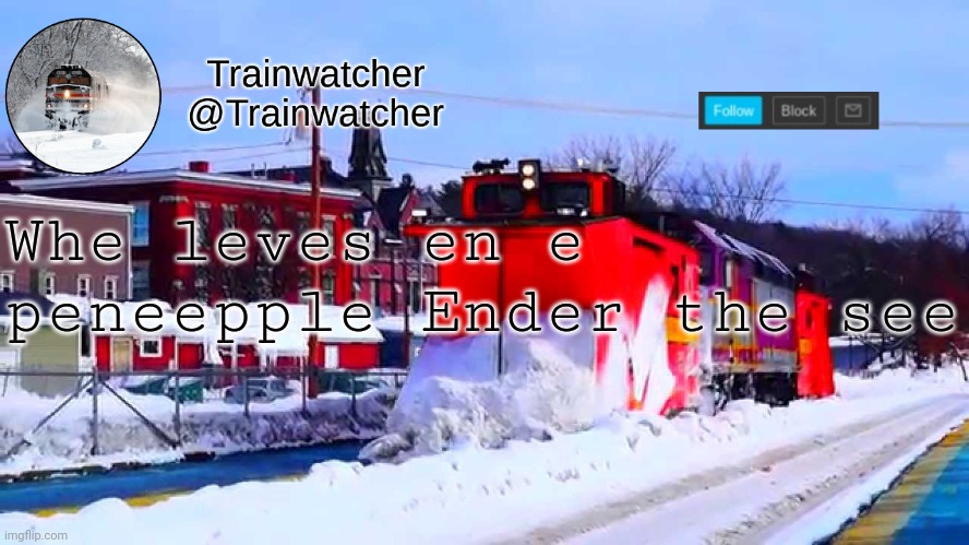 Trainwatcher Winter Temp | Whe leves en e peneepple Ender the see | image tagged in trainwatcher winter temp | made w/ Imgflip meme maker