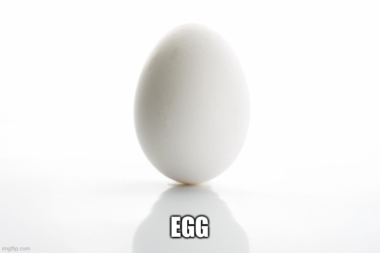 Egg | EGG | image tagged in egg | made w/ Imgflip meme maker