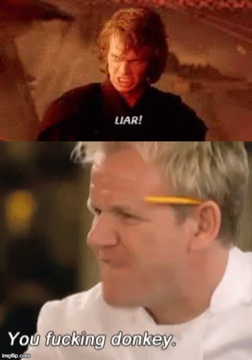 image tagged in anakin liar,you fucking donkey | made w/ Imgflip meme maker